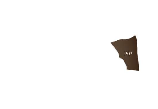20e